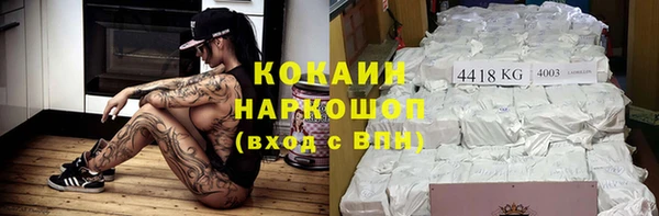 индика Снежинск