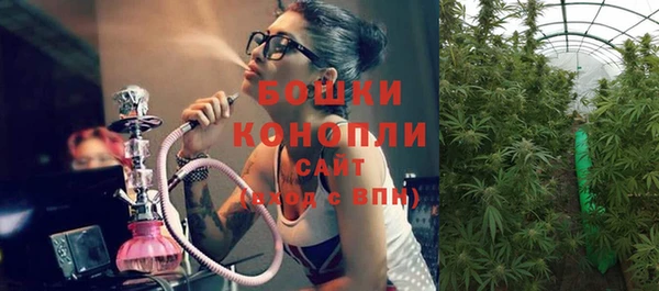 гашик Арсеньев