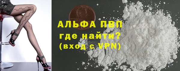 гашик Арсеньев